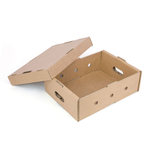 caja-para-fruta-con-tapa